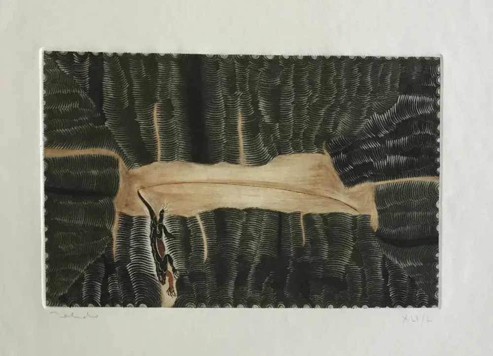 版画 Toledo - Iguana in the Labyrinth