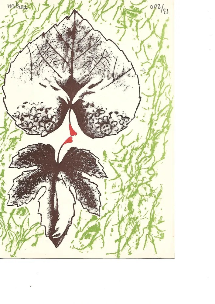 石版画 Toyen -  Krabicka prvni pomoci - Boîte alerte (1959)