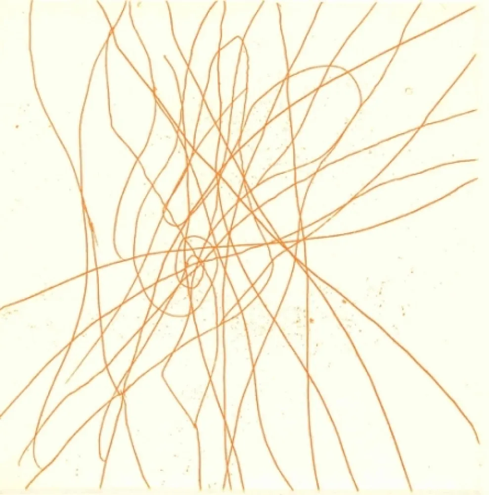 插图书 Turcato - Poesie giovanili