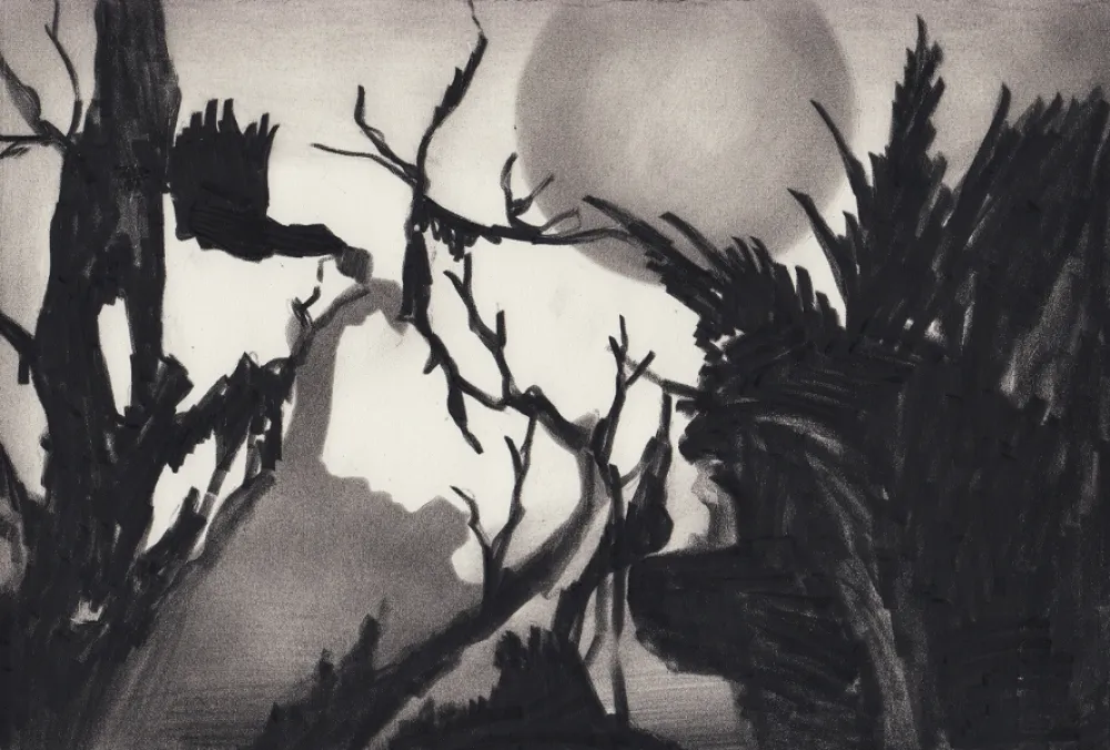 复数作品 Van Eeden - Untitled 22