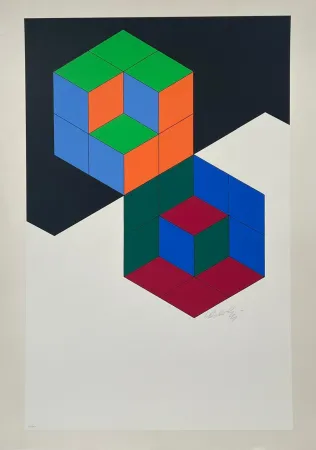 丝网印刷 Vasarely - Bi-Hexa 