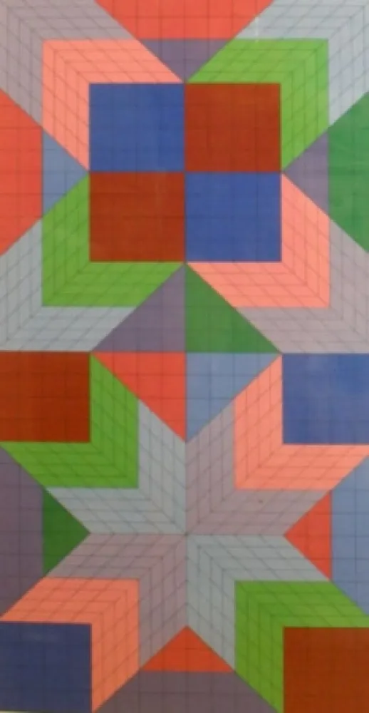 丝网印刷 Vasarely - Door