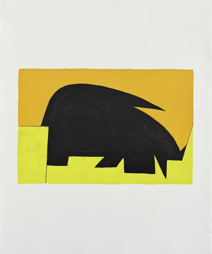 石版画 Vasarely - Garam