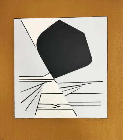 丝网印刷 Vasarely - Latorça