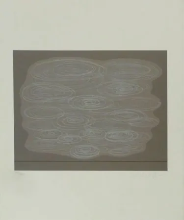 丝网印刷 Vasarely - Locmaria