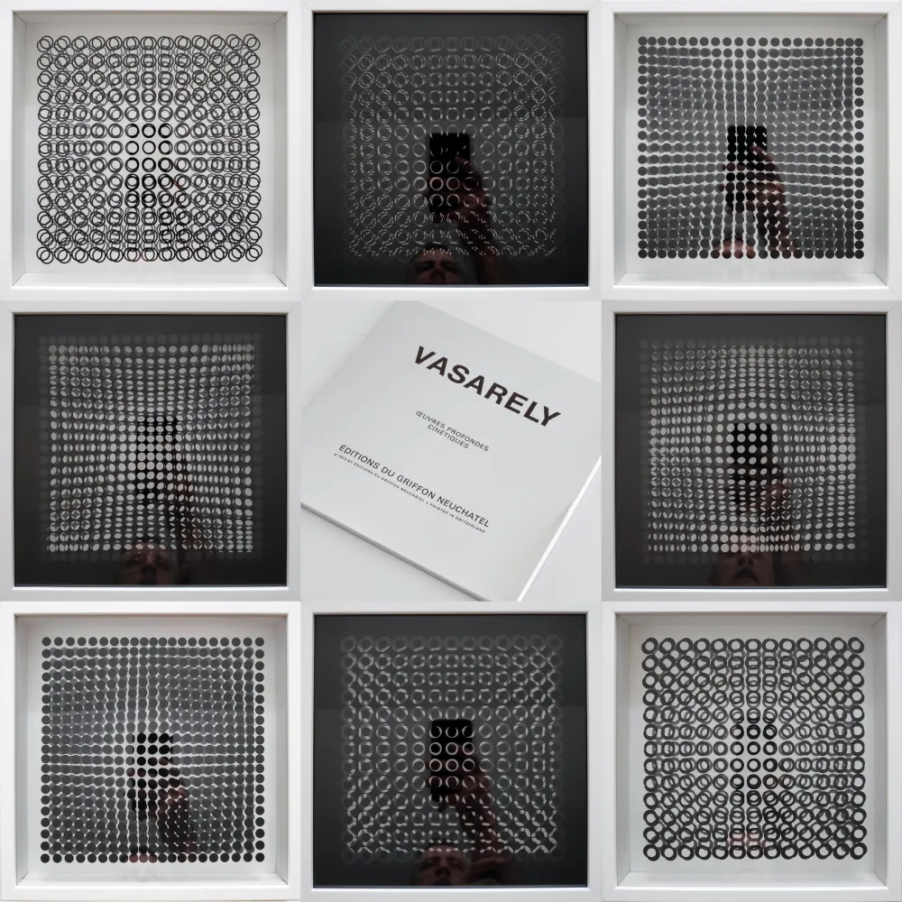 复数作品 Vasarely - Oeuvres Profondes Cinetiques