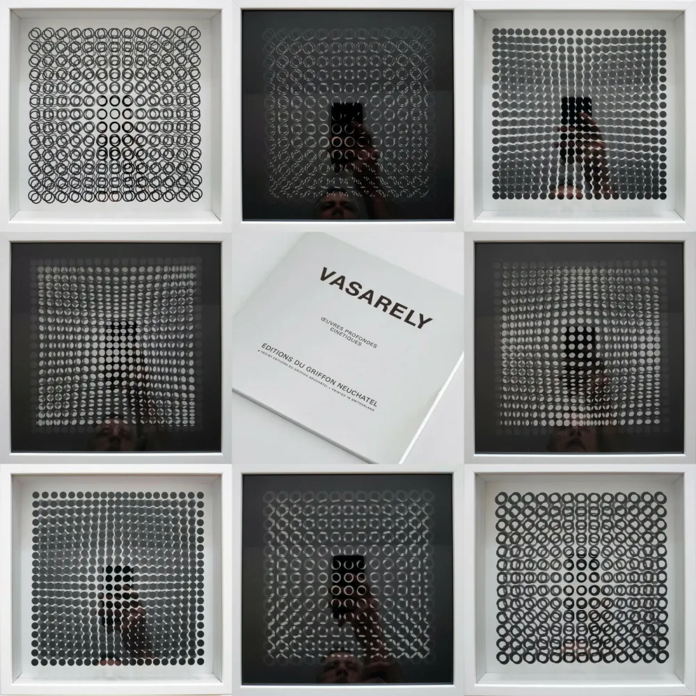 复数作品 Vasarely - Oeuvres Profondes Cinetiques