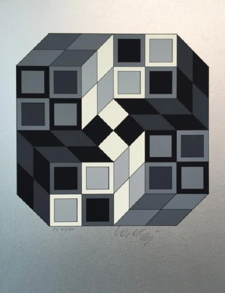 丝网印刷 Vasarely - Silver Composition
