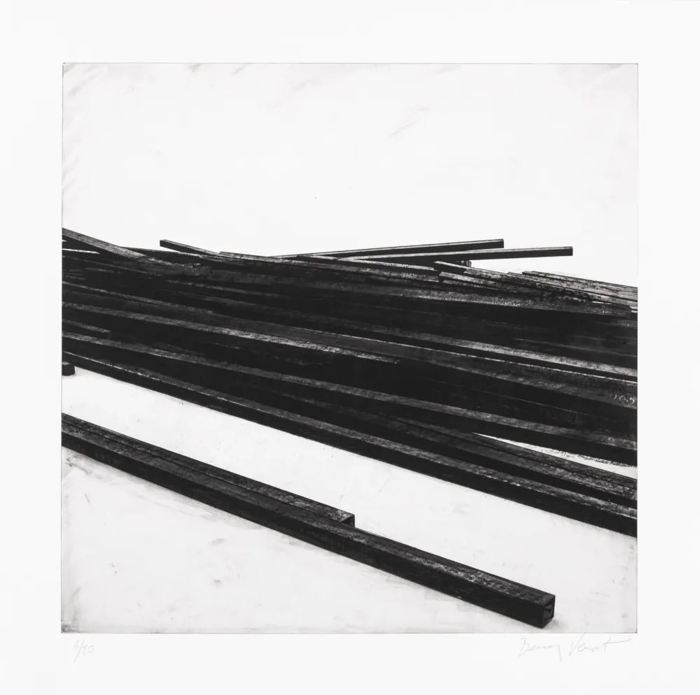 丝网印刷 Venet - Lignes droites / désordre 01