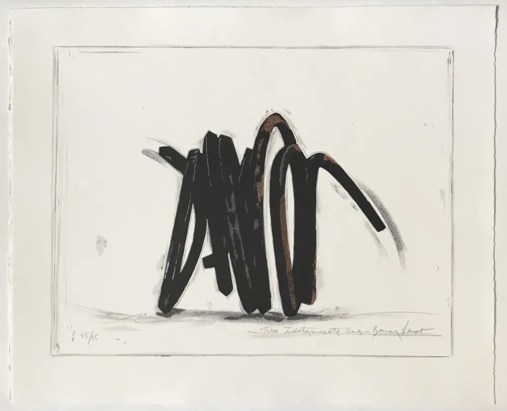 石版画 Venet - Two Indeterminate Lines