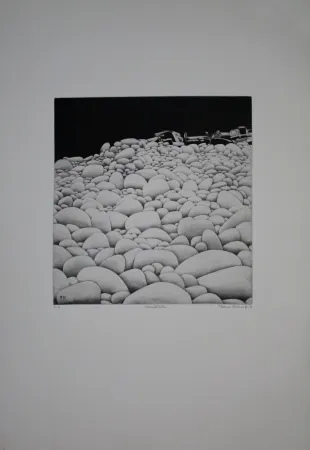 蚀刻飞尘法 Vernunft - Steinblüten