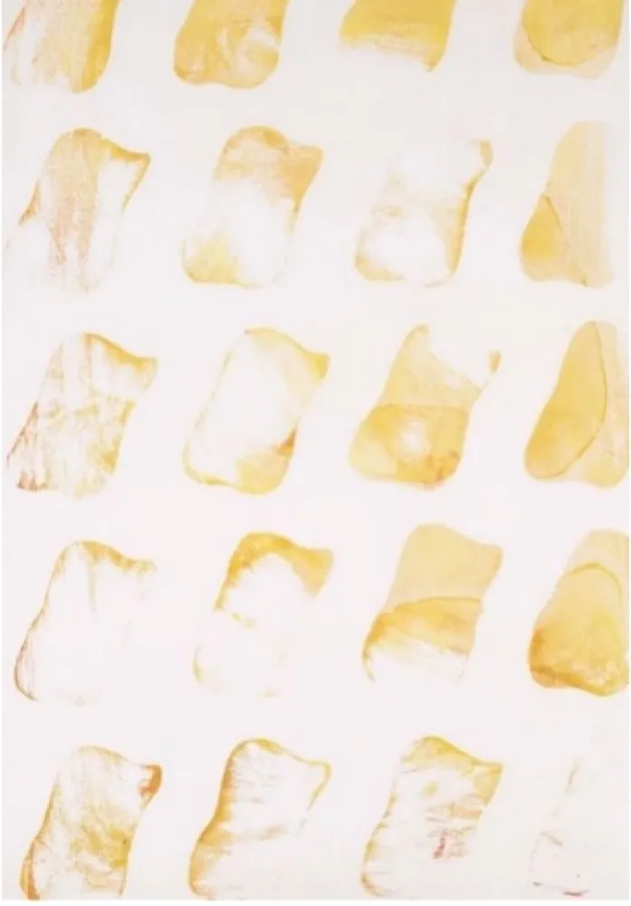 丝网印刷 Viallat - Empreinte 