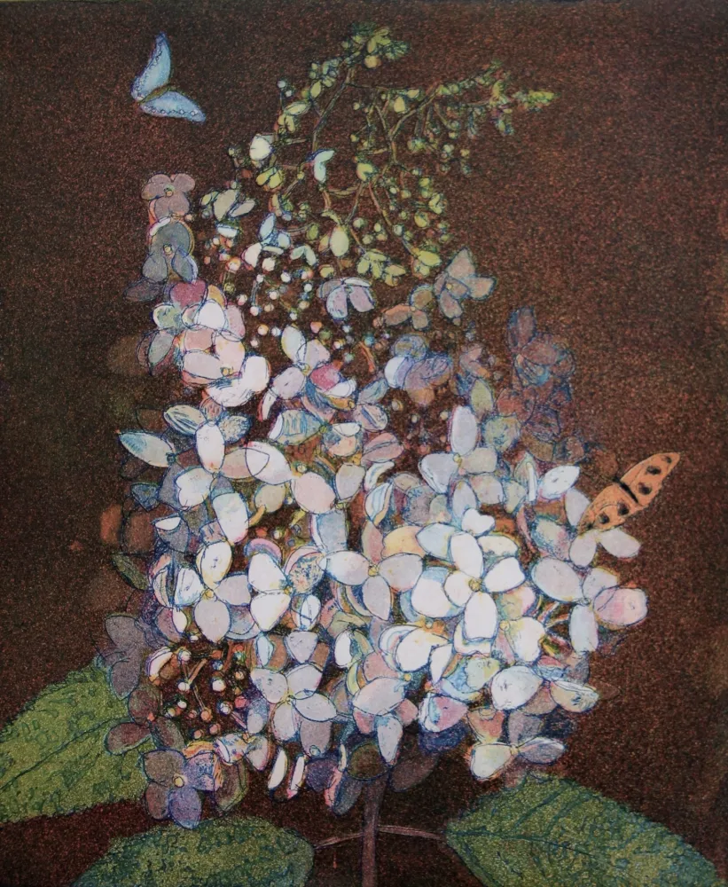 飞尘腐蚀法 Votteler - Kleine weisse Hortensie