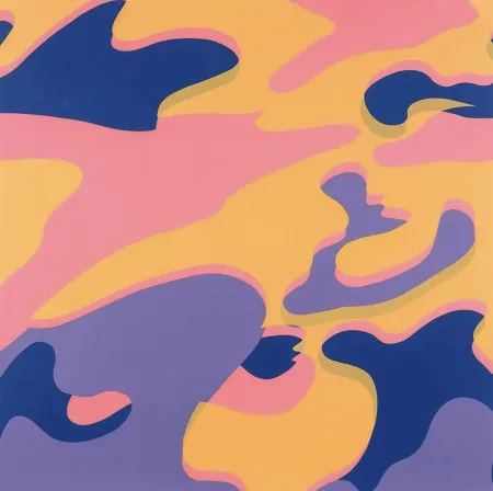 丝网印刷 Warhol - Camouflage F. & S. 410