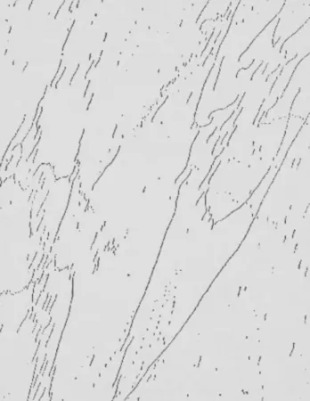 复数作品 Warhol - Mao (Unique)