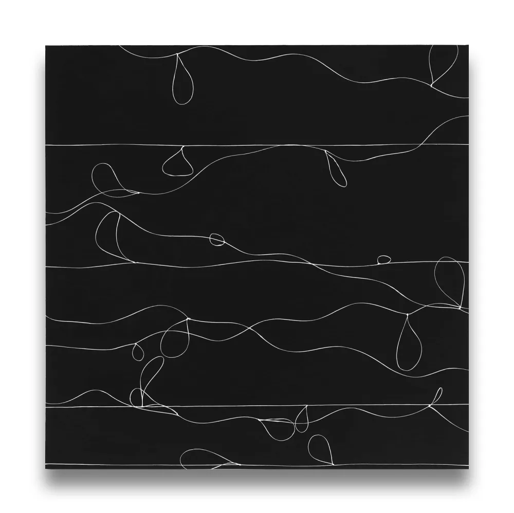 摄影 Webber - Loops 1