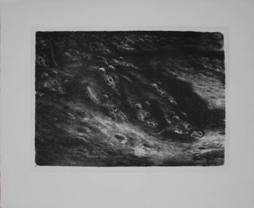 石版画 Weber - Rattenzug