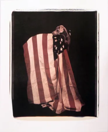 石版画 Wegman - Profiles in Patriotism (from Freedom of Expression)