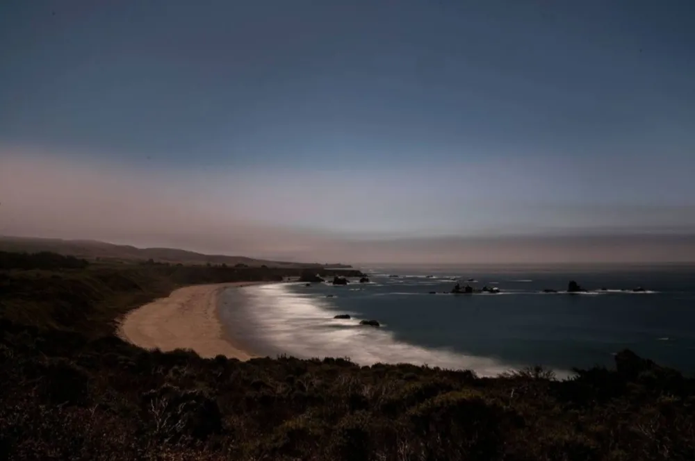 摄影 Wesely - Arroyo Hondo Preserve