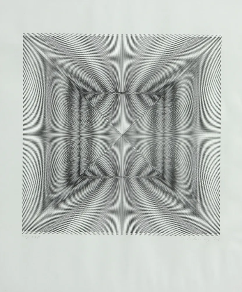 石版画 Wilding - SENZA TITOLO