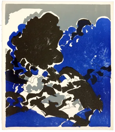 石版画 Wyckaert - Fureur et mystère