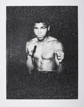 丝网印刷 Young - Ali