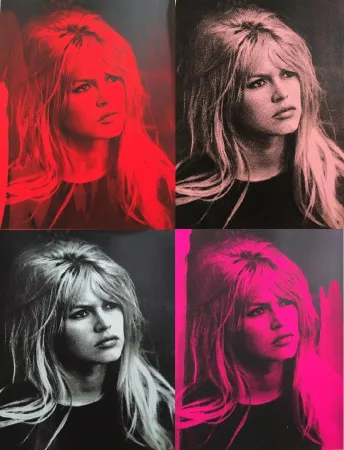 丝网印刷 Young - Brigitte Bardot Portfolio (4)