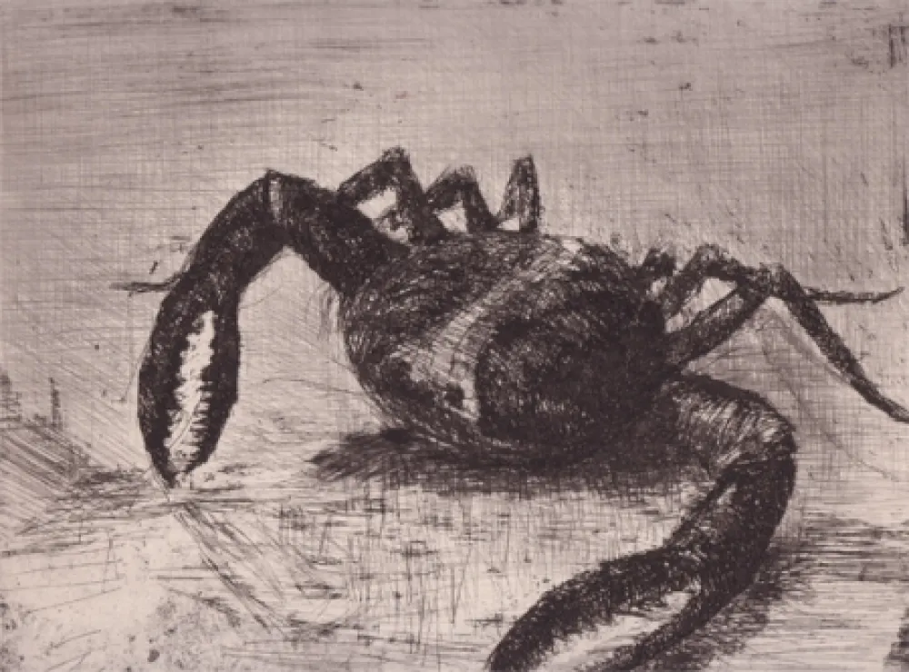 插图书 Zamorano De Biedma - Bestiaire