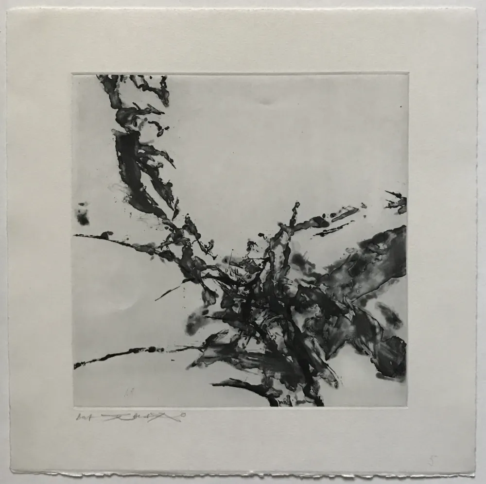 蚀刻飞尘法 Zao - Éloge des choses extrêmement légères (361)