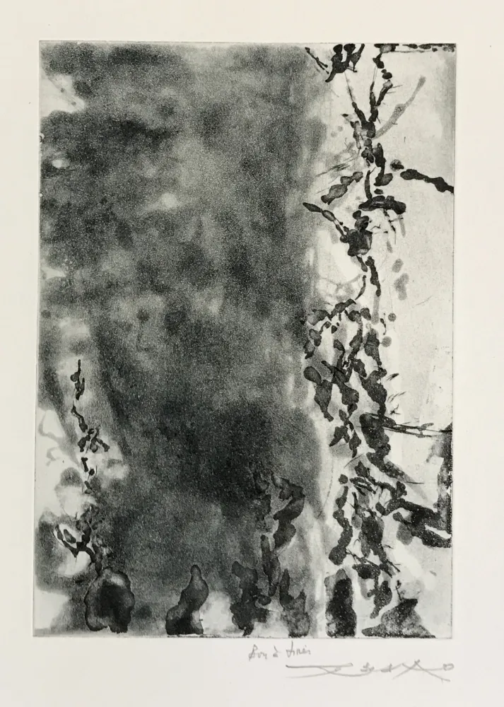 蚀刻飞尘法 Zao - Proustiennes (348)