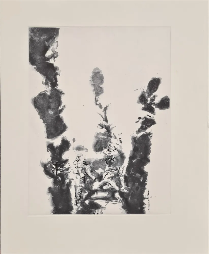 蚀刻飞尘法 Zao - XXIV Sonnets de Shakespeare