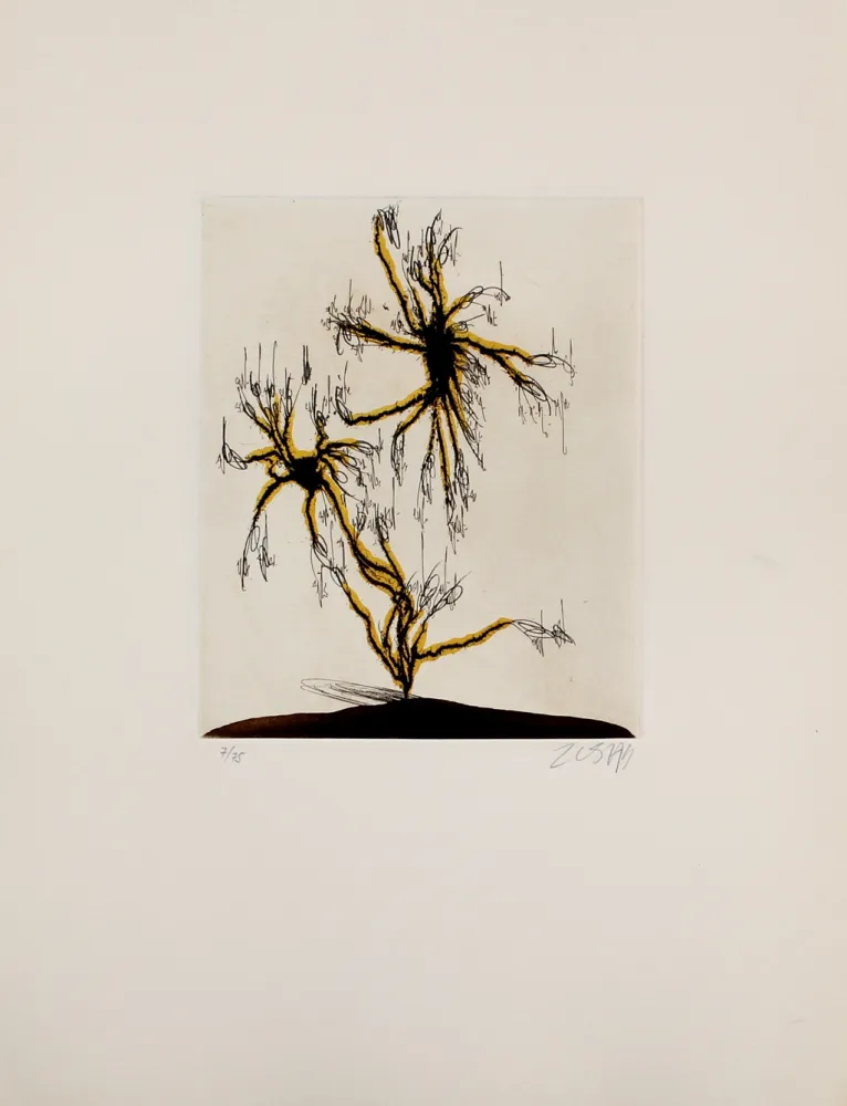 蚀刻飞尘法 Zush - Anzuras